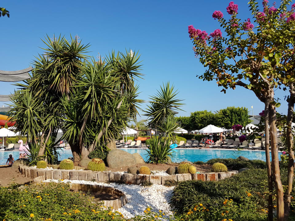 Pool Limak Lara Deluxe Hotel & Resort