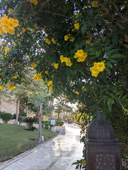 Gartenanlage Makadi Palace