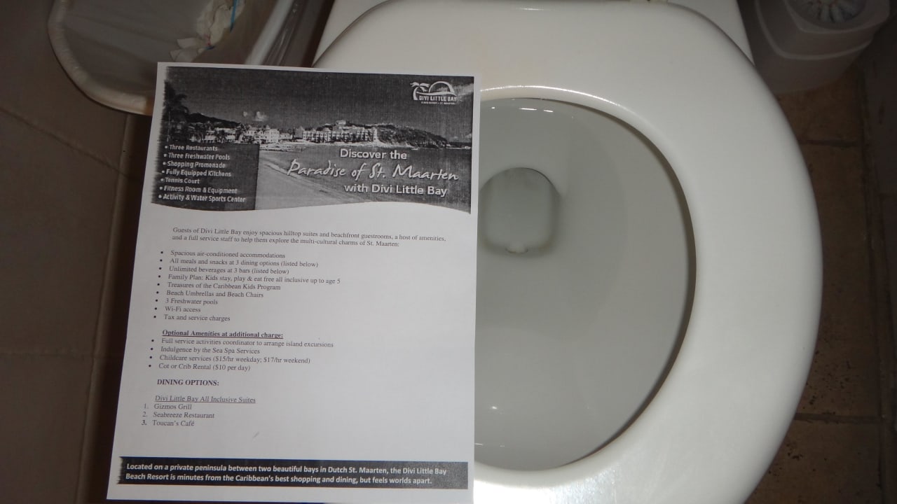 WC Brille kleiner als im Flugzeug! Divi Little Bay Beach Resort