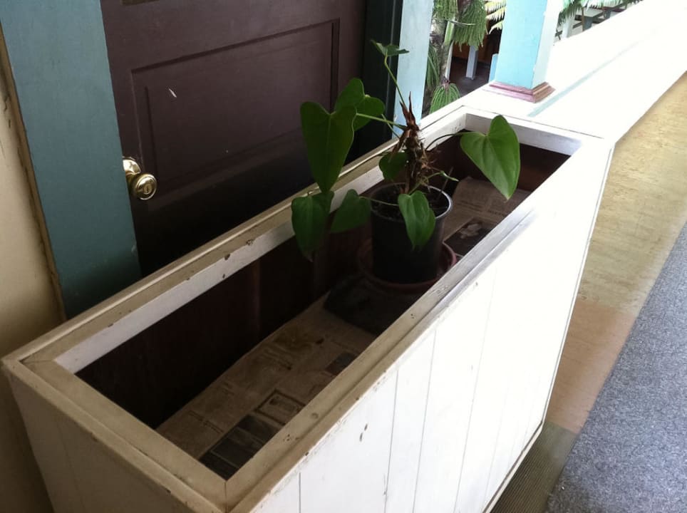 Honoka´a Club, Big Island, Hawaii Hotel Honokaa Club