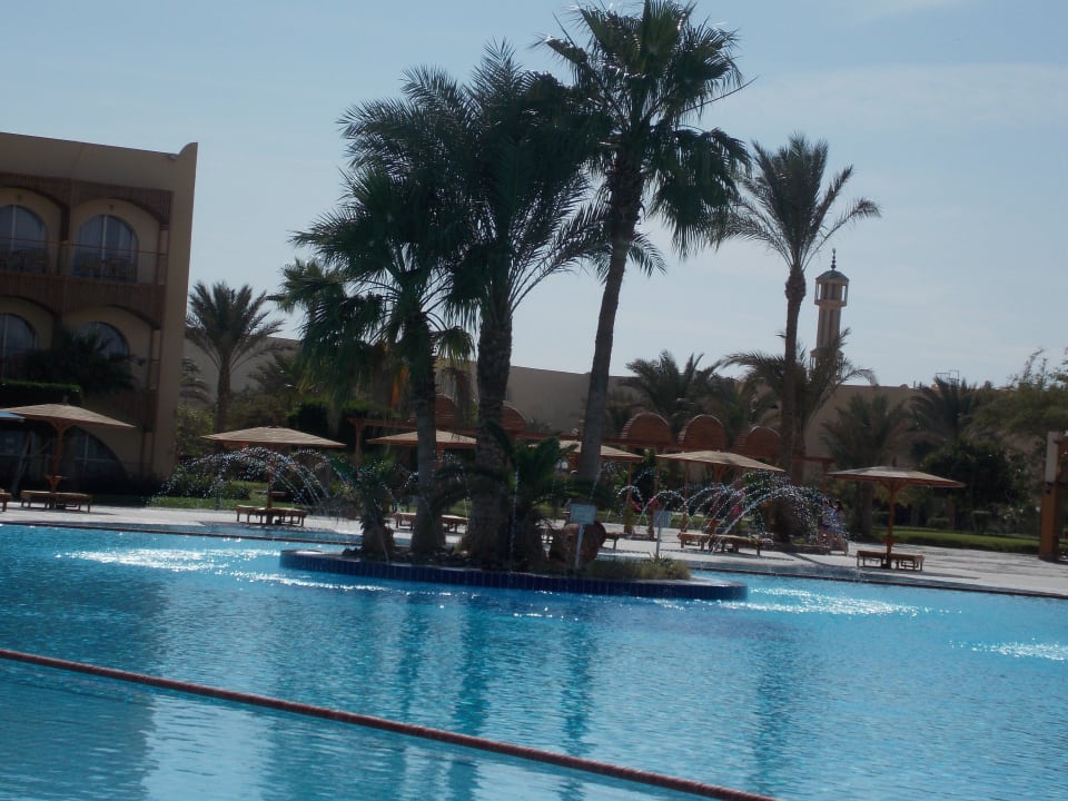 Бассейн Desert Rose