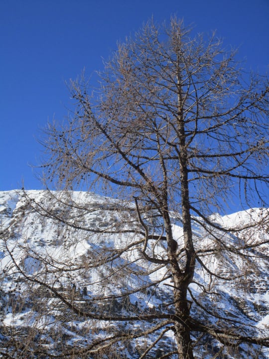 Zimmerausblick Hotel Bergwelt Obergurgl