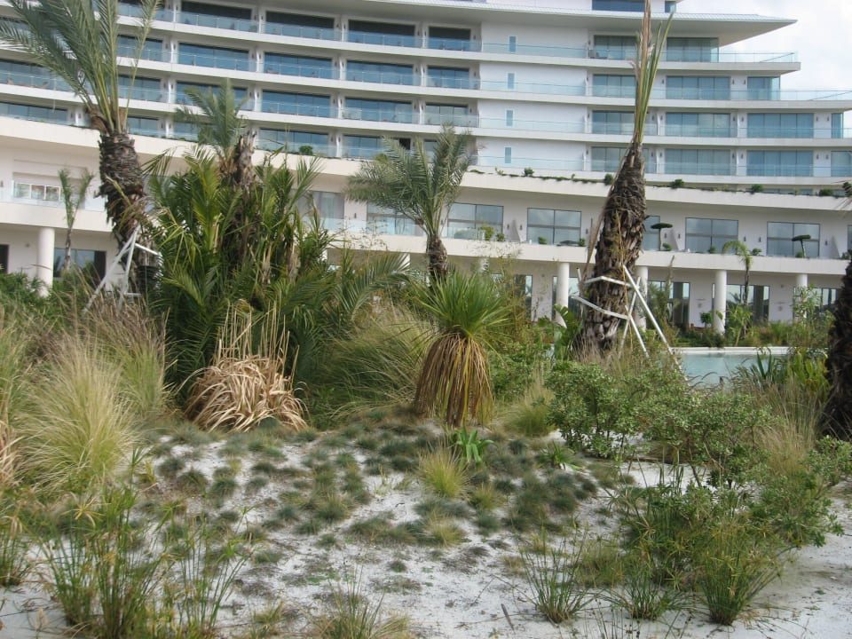 Территория Maxx Royal Belek Golf Resort