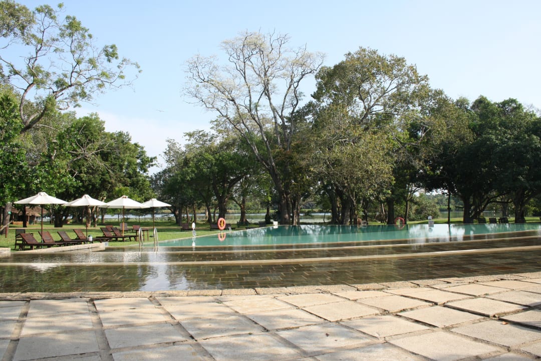 Pool Habarana Village by Cinnamon