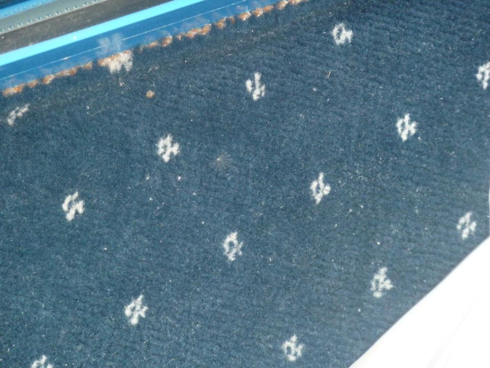 Mängel im Hotel Hotel Sineva Beach