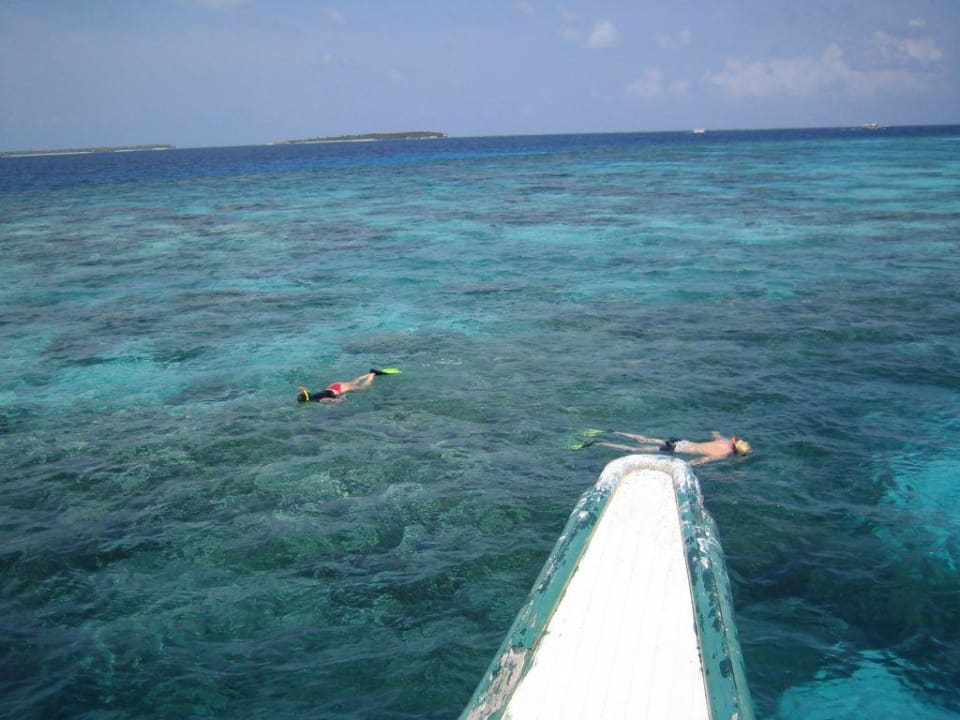 Schnorchelausflug mit Speed-Dhoni Summer Island Maldives