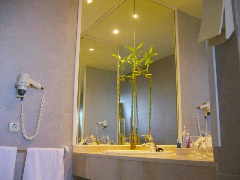 Bad Melia La Palma Hotel