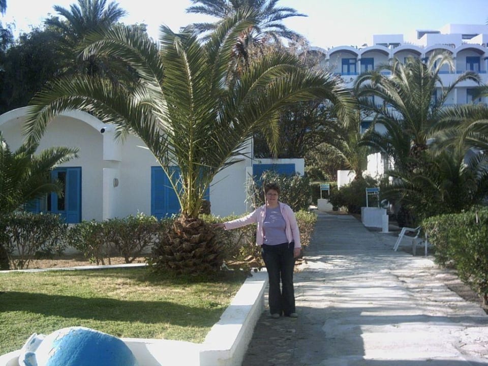 Die Clubanlage Hotel Coralia Jawhara Palm Beach