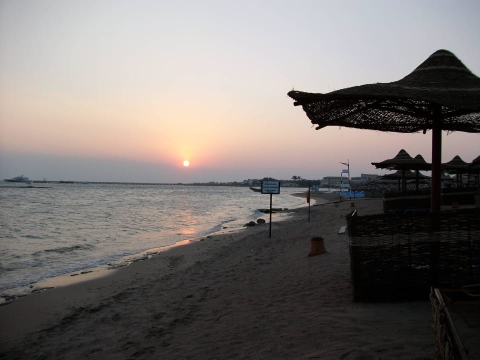 Sonnenaufgang Jaz Makadi Oasis Resort