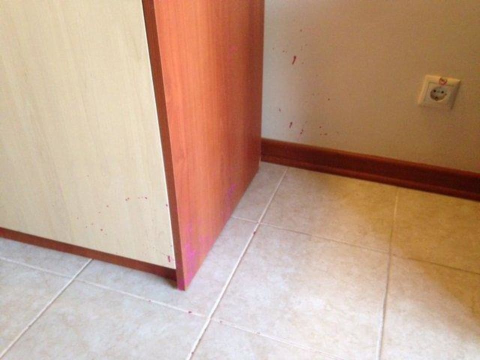 Flecken an Wand und Mobilar Crystal Paraiso Aqua Collection