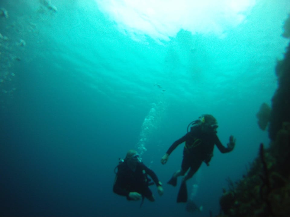 Tauchen Catalonia Punta Cana - All Inclusive