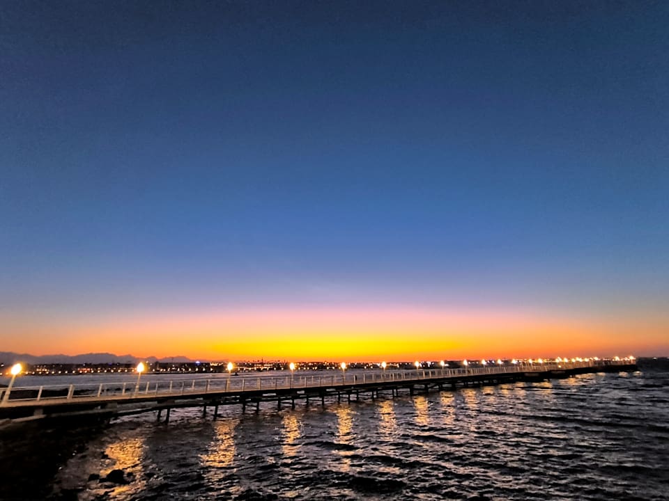 Ausblick Desert Rose