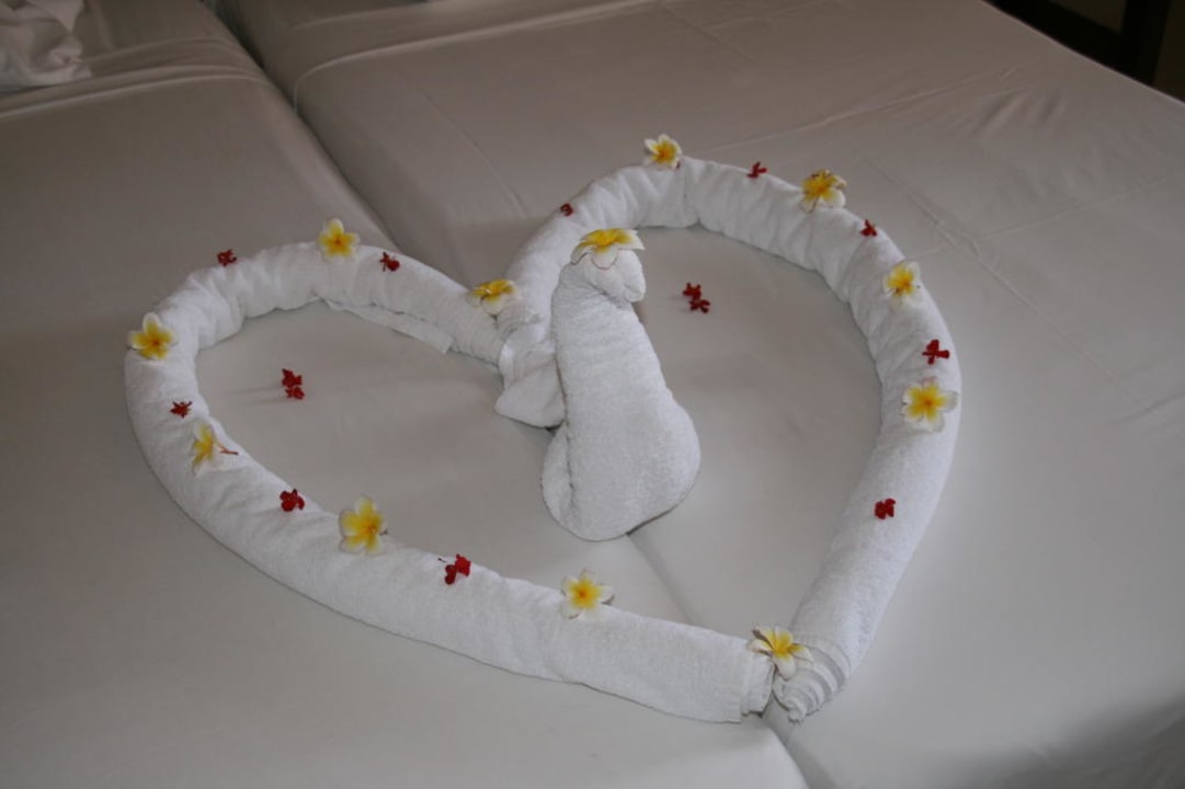 Bettdeko Jaz Dar EL Madina