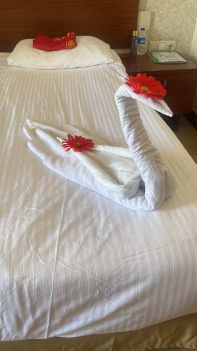 Zimmer Side Star Beach