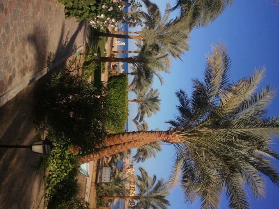 Weg Beachbar Steigenberger Coraya Beach - Adults only