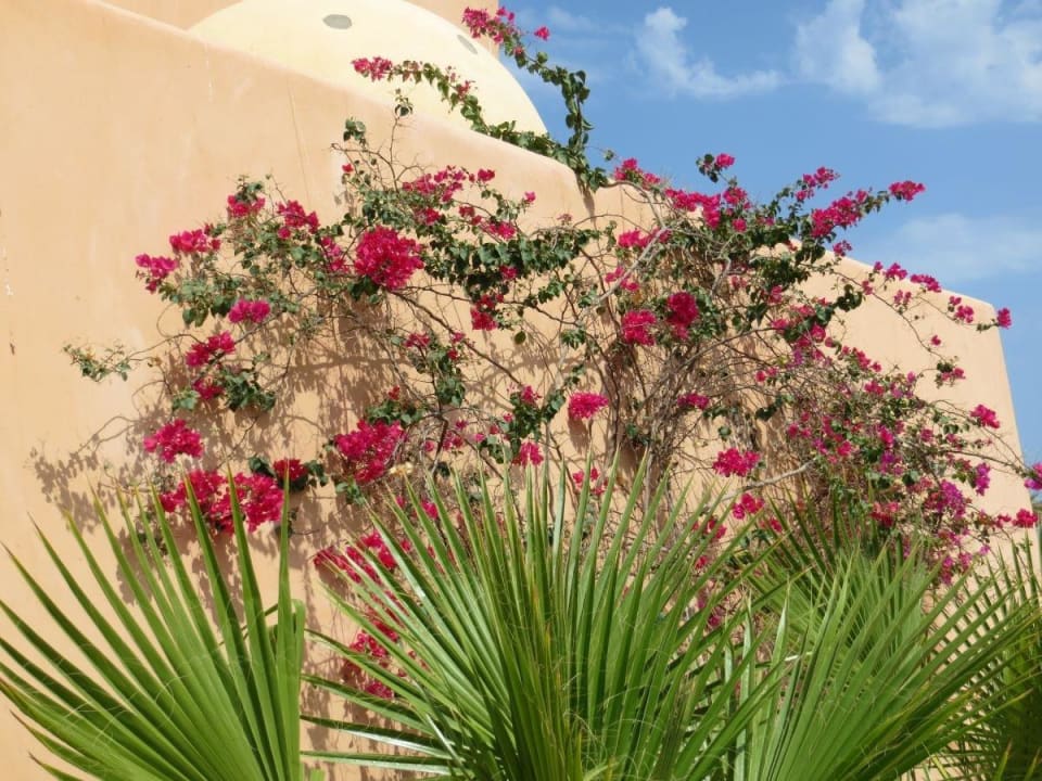 Selbsterklärend  Wadi Lahmy Azur Resort