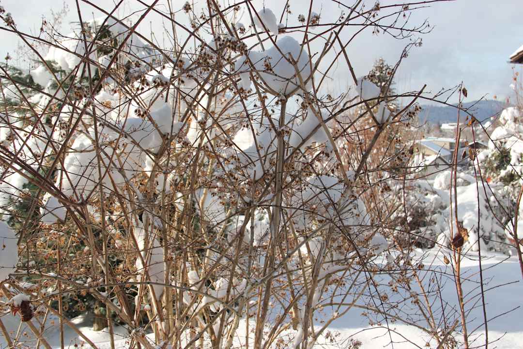 Gartenanlage Villa Relax - Ferienwohnungen mit Hallenbad & Relaxgarten