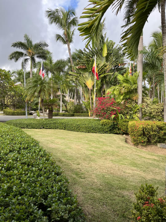 Gartenanlage Grand Palladium Select Bávaro Resort & Spa