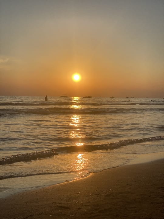 Strand Paloma Oceana