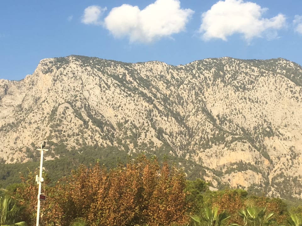 Außenansicht Balmy Foresta