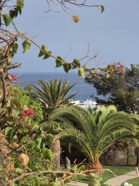 Gartenanlage allsun App.-Hotel Esquinzo Beach
