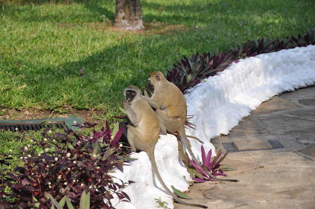 Garten Hotel Southern Palms Beach Resort