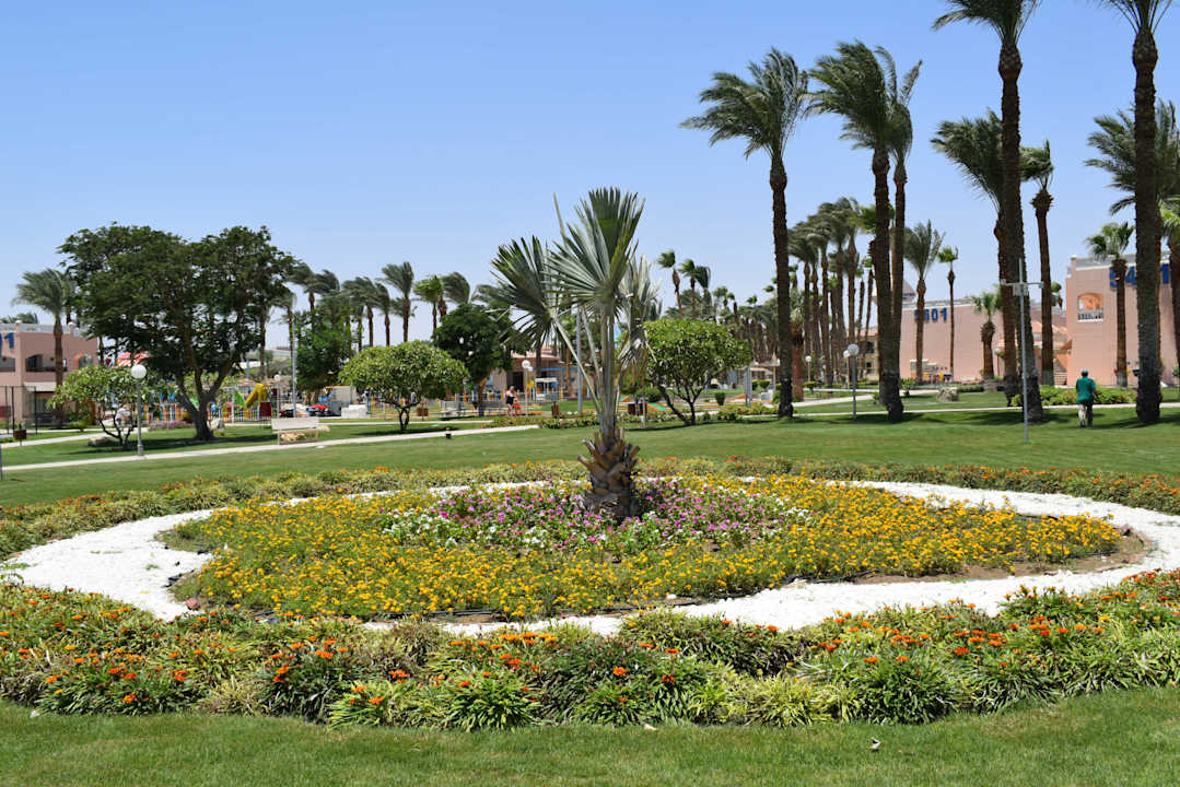 Gartenanlage Beach Albatros Resort