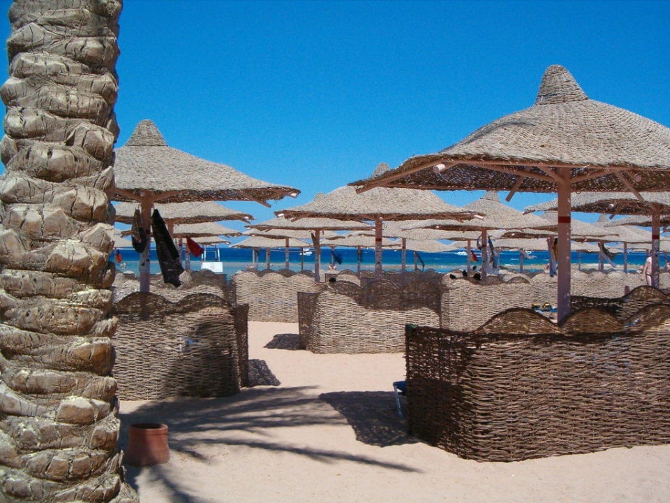 Reichlich Sonnenschirme am Strand Jaz Makadi Oasis Resort