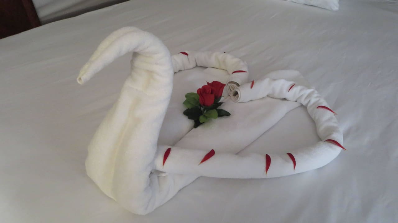 Ayshe verbringt wahre Wunder. Mary Hotel Side