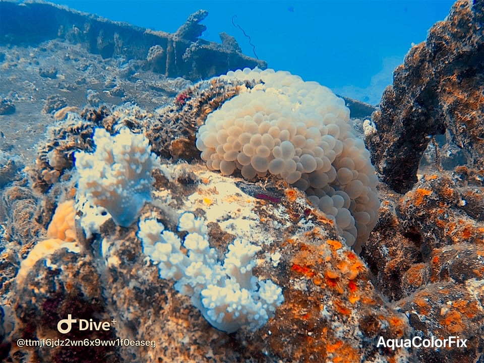 Sport & Freizeit Le Meridien Ile Maurice