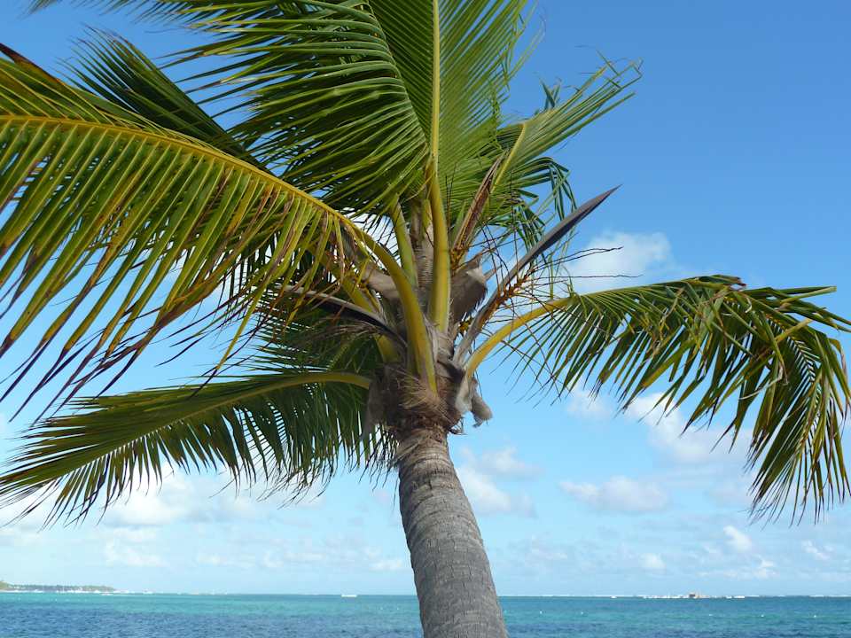 Palme Villas Bavaro Resort & Spa