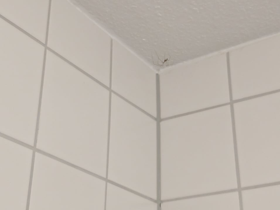 Zimmer Hotel Acamed Resort