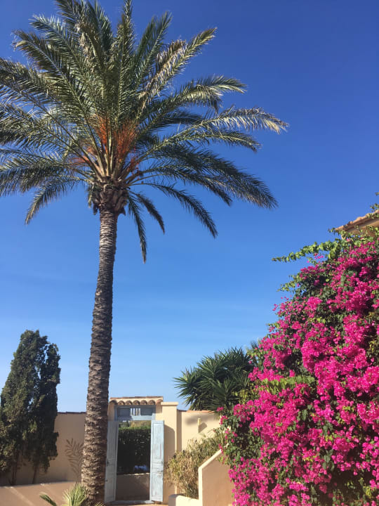 Außenansicht Finca Amapola - Agrotourismus Hotel