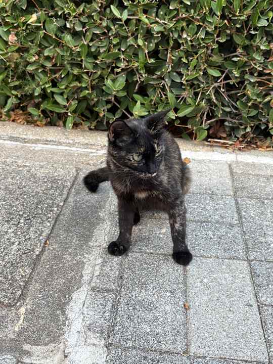 Sonstiges TUI MAGIC LIFE Calabria