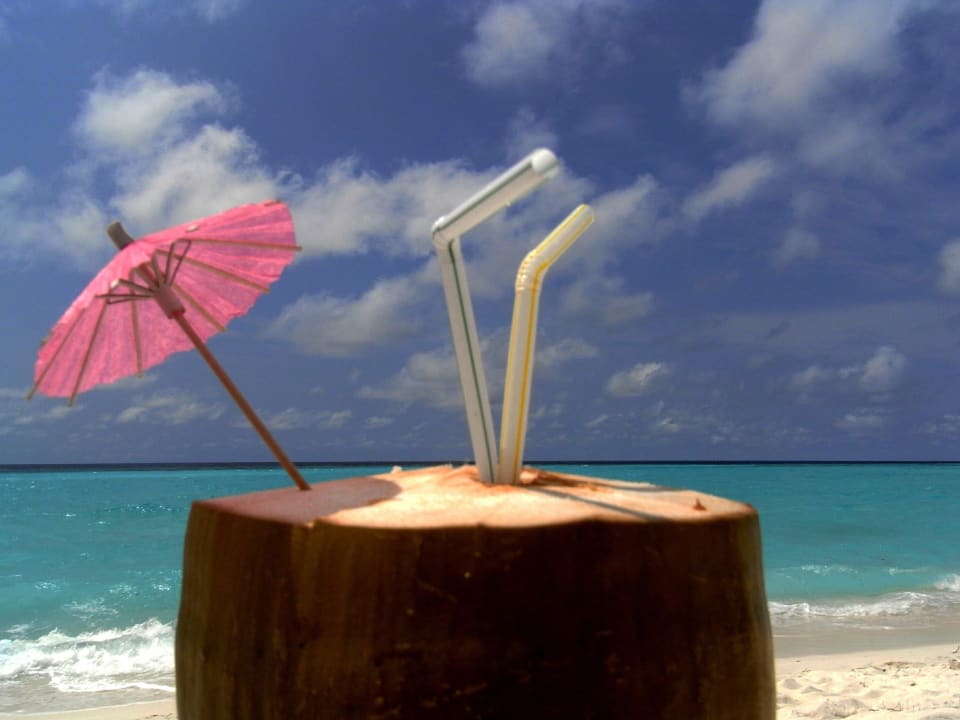 Kokosnuss einfach nur lecker Palm Beach Resort & Spa Maldives