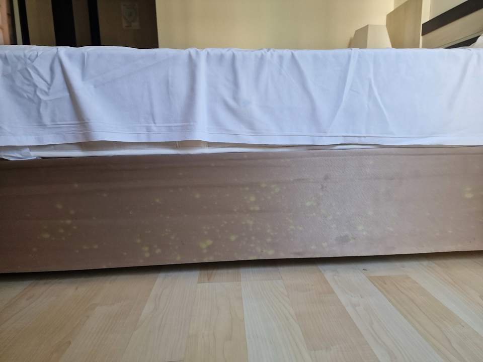 Zimmer Hotel Orfeus Park