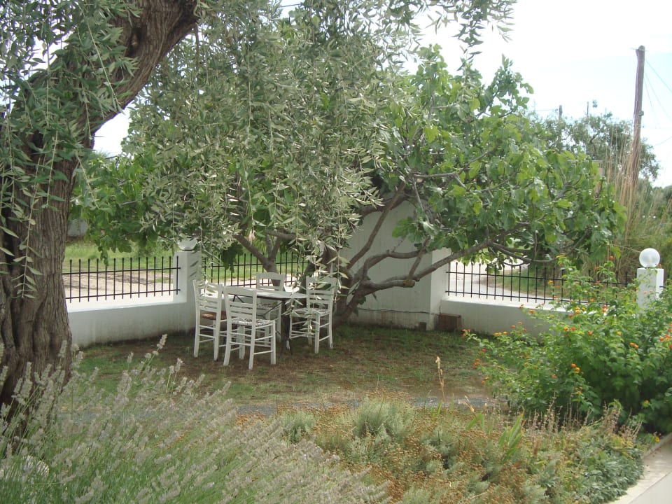 Gartenanlage Hotel Aegean Sun