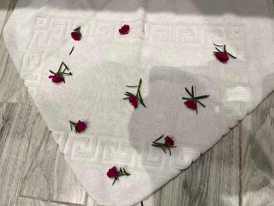 Zimmer Akassia Swiss Resort