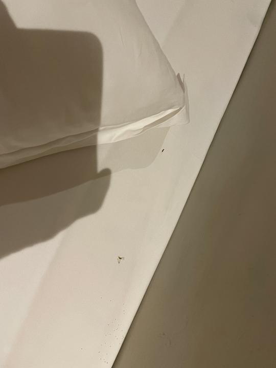 Zimmer Solana Beach Mauritius