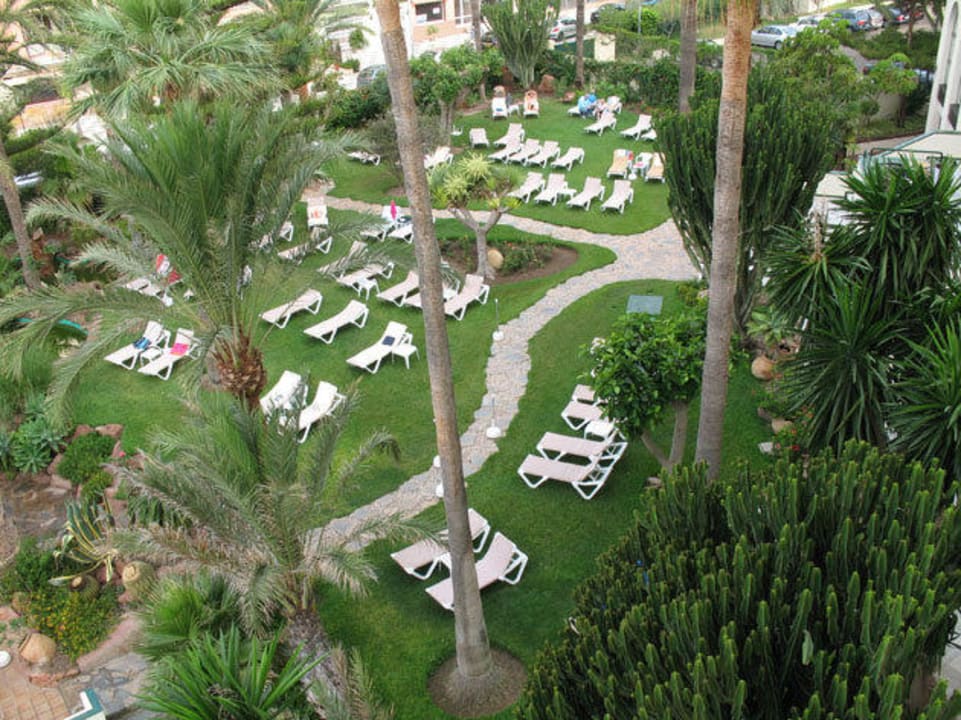 Gartenanlage Hotel Riu Monica - Adults only