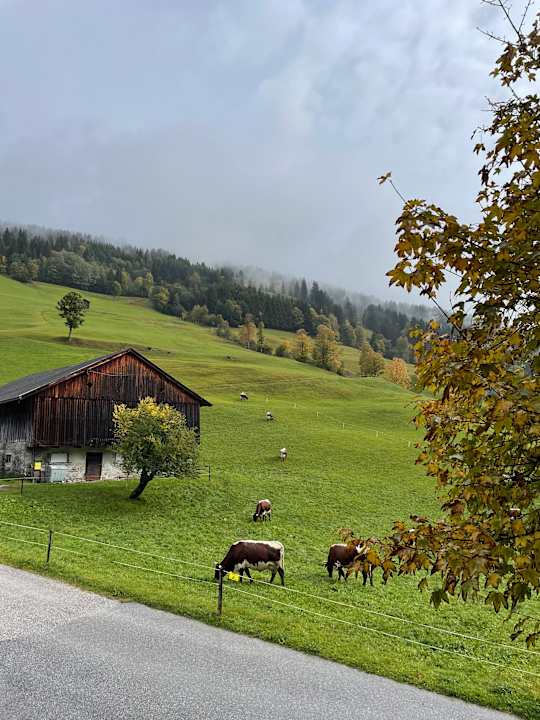 Ausblick Hotel Thurnerhof