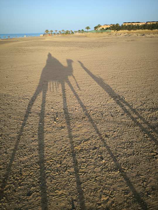 Außenansicht Three Corners Sea Beach Resort