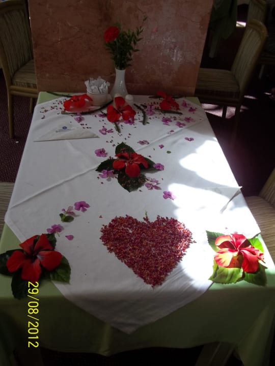 Blumendekoration Asteria Collection Side