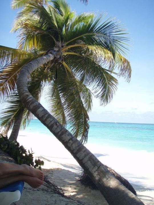 Paradies Hotel Riu Palace Bavaro