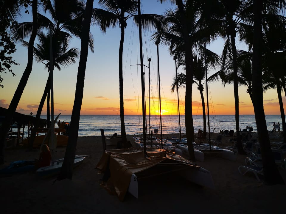 Strand Hotel Viva Dominicus Beach by Wyndham - All Inclusive Resort