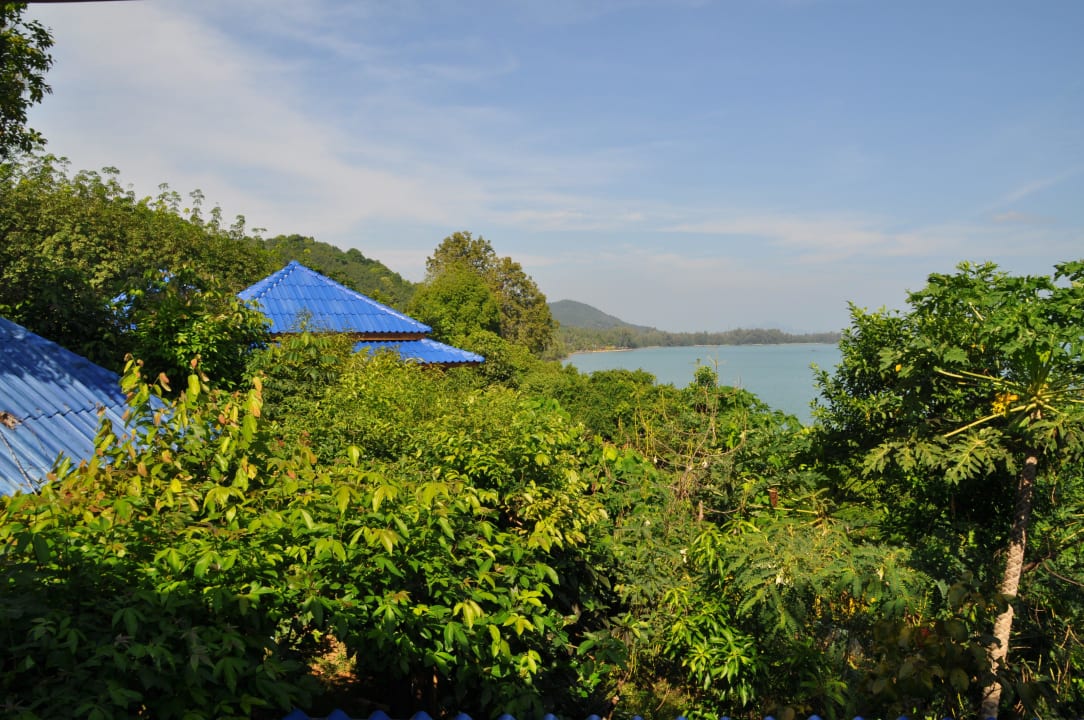 Ganz versteckt die Bungalows Esmeralda View Resort