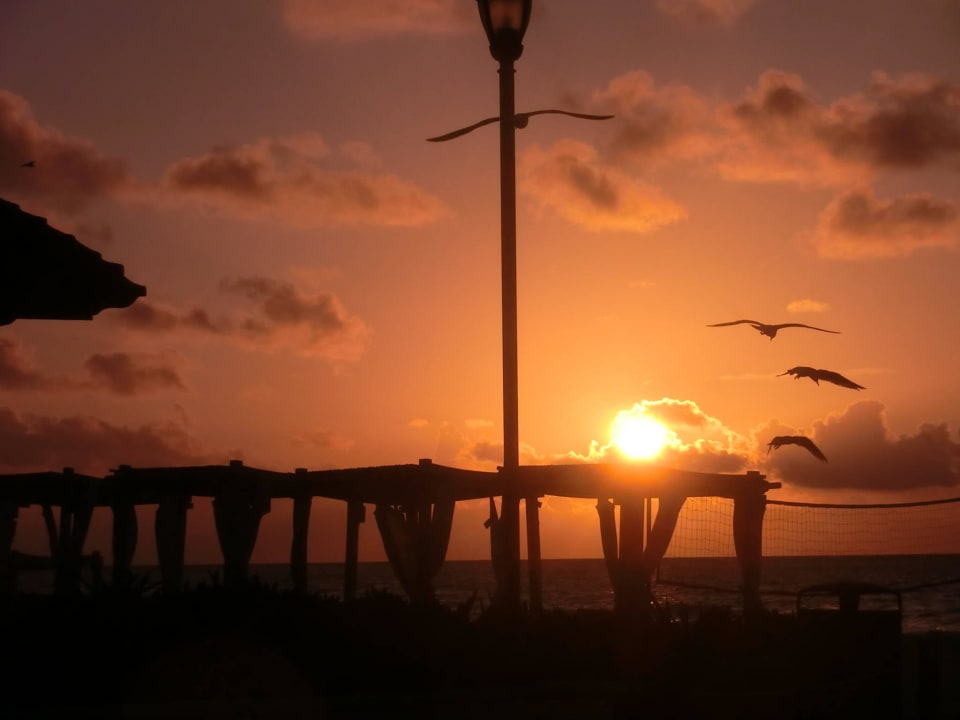 Sonnenausgang Tukan Hotel Playa del Carmen