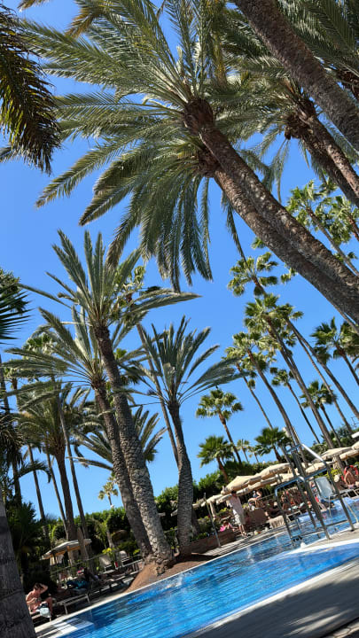 Außenansicht Hotel Riu Palace Oasis