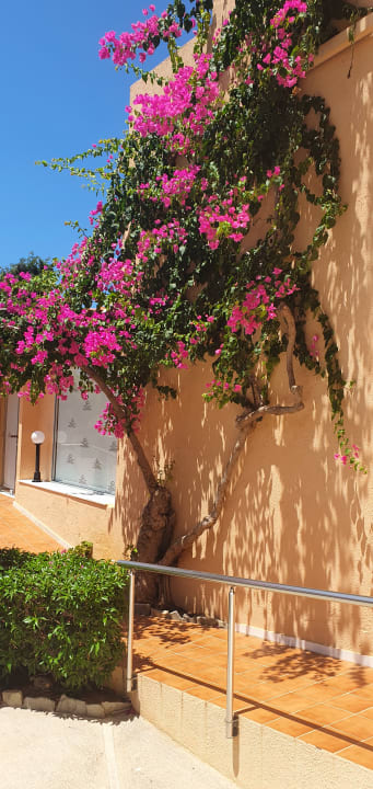 Außenansicht Anissa Beach & Village