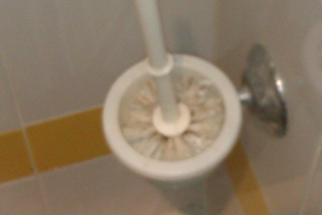 Die Toilettenbürste bei unseren Ankunft Hotel African Queen